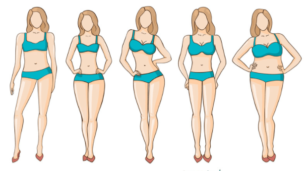 bodyshapes