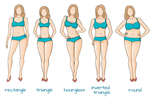 bodyshapes