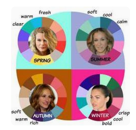 colour season wheel